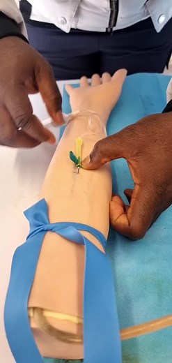 bloodsandneedles on TikTok