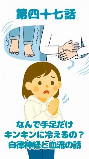 【末端冷えの正体】なんで手足だけ冷えるの？自律神経と血流の話❄️冬になると手足だけ冷たいと感じる方が増えますよね。その原因は?#手足の冷え #末端冷え #自律神経 #温活 #冬の不調 #３首温活