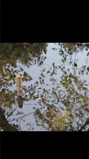 Vortex shedding ... can cause structures to vibrate #fluiddynamics #simulation #cfd #flow