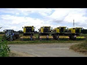 4 PLOEGER à la récolte des petits pois