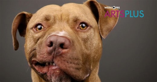 WEDU Arts Plus:1224 | Episode Season 12 Episode 24