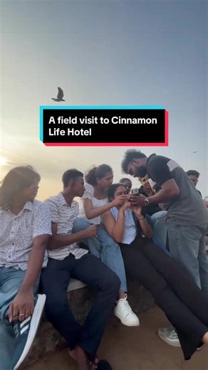 Exploring the Dreamy Cinnamon Life Hotel