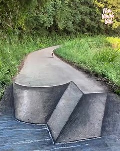 4.6K views · 35 reactions | God, that’s so very clever! | Funny Videos | Facebook