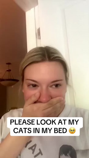 Cuddling Cats in My Bed: Heartwarming Moments