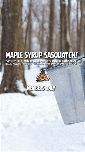 They found a small Bigfoot sucking maple sap straight from the tap #bigfoot #scary