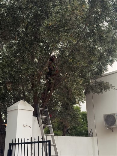 Arnoud Ruiter on Reels