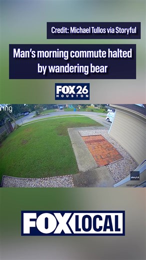 On today's edition of "NOPE." A Florida man’s morning work commute was delayed after he was greeted by a black bear strolling across his front yard. The encounter comes as bear sightings across Florida continue to draw attention following several high-profile incidents in recent months. Full story at the link in the comments. | FOX 26 Houston