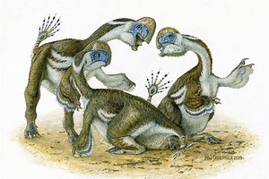 Researchers discover species of toothless, two-fingered dinosaur