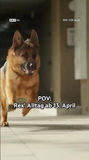 The comeback of "Inspector Rex"
