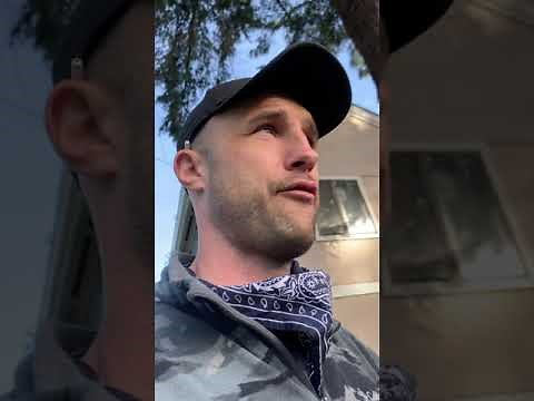 How To Bid Tree Removals