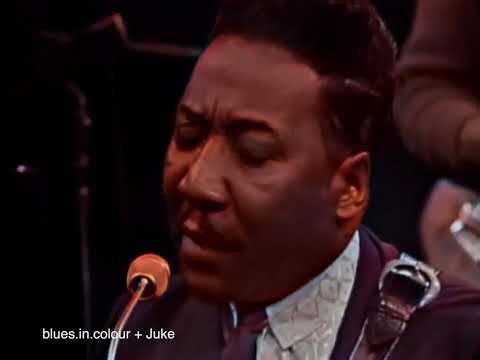 Muddy Waters - You Can't Lose What You Ain't Never Had live [Colourised] 1966