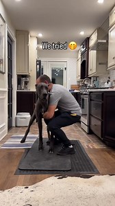 177K views · 3.2K reactions | 120 pounds of love, eating your whole face  #dogs #greatdane | LoveMargot | Facebook