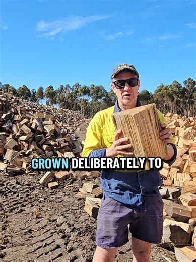 Best Firewood for Your Fireplace: Australian Hardwood Guide