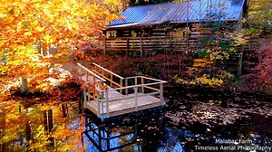 7.1K views · 72 reactions | Amazing Aerial Fall Tour Malabar Farm...