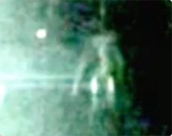 自宅の裏庭に宇宙人が！？カナダの民家で宇宙人らしきうごめく物体が撮影される | カラパイア