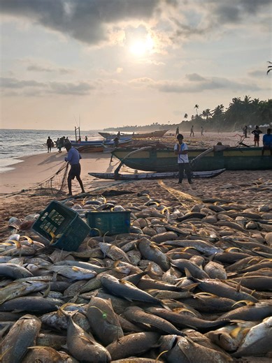 One Million Audition Highlights