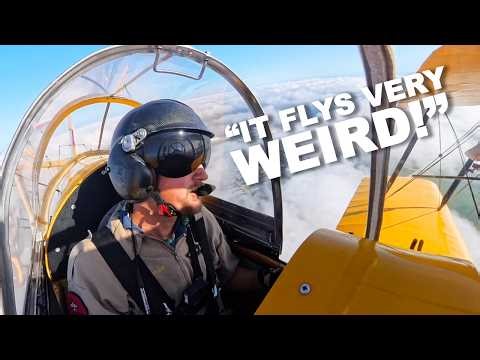 “The Tiger Moth - a very Crashable Airplane”