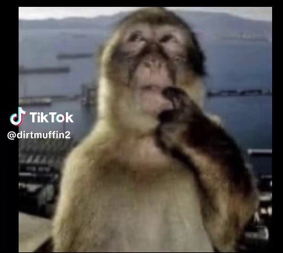 Exploring the World of Roblox Forsaken