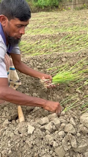 Modern Farming Technology in Nepal
