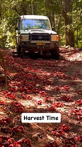 13K views · 28 reactions | Harvest Time | Dialogues With Jagero | Facebook