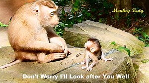 40K views · 3.7K reactions | Libby tell BB Rainbow,- Don't worry I'll look after you very well and with sweet love, my dear- Ep673 | Monkey katy | Facebook