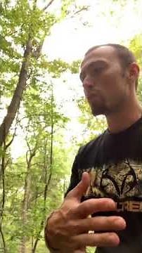 What yellow root looks like and how to find it