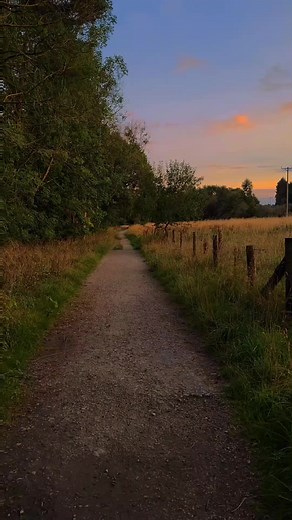 Give Peace a Chance - Cinematic Sunset Nature Scene