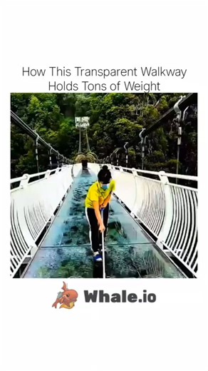 Science on Instagram: "This transparent walkway may look fragile, but it’s engineered to handle massive weight. Made with multiple layers of tempered glass and strong support structures, it can carry the load of hundreds of people at once. The science behind it shows how smart design and material strength work together to make something that looks scary feel completely safe. . . . #ScienceExploring #EngineeringFacts #StructuralEngineering #MaterialScience #SmartDesign #GlassWalkway #TransparentB