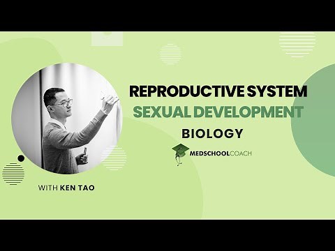 Sexual Development