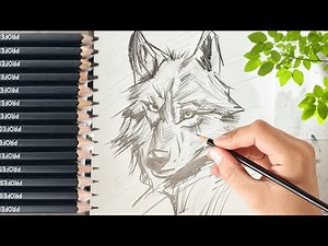 How To Draw a Wolf, Shadding Tutorial, Step By Step 😍