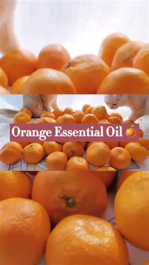 ✨DIY 🍊orange essential oils! 🌝 Easy to make one 👍 Try it!#essentialoils #fragrance #aromatherapy #fypage #DIY #diffusingforbetterlife