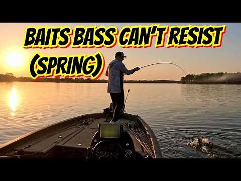 4 Lures Crushing Spring Bass: Find & Catch More Fish FAST