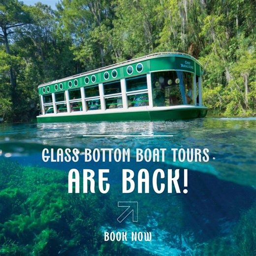 188 reactions · 46 shares |  After the storm, the springs are peaceful once again.  Our glass-bottom boats are ready to welcome you back to the beauty below. Let’s float together and appreciate nature’s quiet resilience.  #NatureHeals #GlassBottomBoatTours #SilverSpringsSerenity | Silver Springs State Park | Facebook