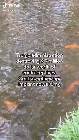 Ava Lan (@echocloudz)’s video of nexplanon implant