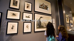 Meet John James Audubon, the famed artist and ornithologist whose name remains synonymous with birds and bird conservation. Walk in his footsteps as you tour his historic stone farmhouse at Mill Grove, and explore his life's legacy at the new museum. | John James Audubon Center at Mill Grove