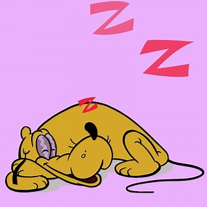 7K views · 620 reactions | Being this cute is exhausting. Get your...