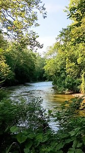 1.8K views · 119 reactions | The Cuyahoga River near Brecksville Ohio | Mark Brown | Facebook