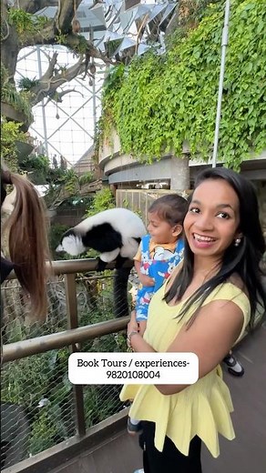 Top things to do in Dubai #dubailife #thingstodo #traveldubai #dubaimall #dubaicity #travelvlog