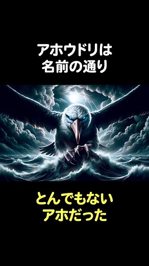 アホウドリの不思議な行動と生態