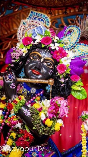 shyam ano baso vrindavan me