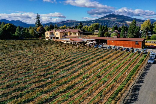Tasting Room — Marchesi Vineyards