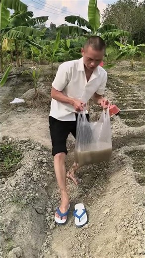 The farmer was living in 2050 #shortsvideo