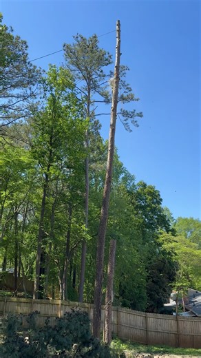  Tree Service Project Lilburn, GA . ️Call us right now and get a #freeestimate ☎️(678) 457-3487 ✅ Fully Insured ✅licensed . . . #trees #treeremoval #treework #arborist #tree #stihl #stumpgrinding #treecare #landscaping #treetrimming #usa #georgia | Jireh Tree Services & Landscaping | Facebook