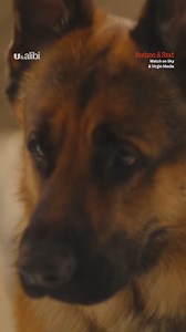 If we were in hospital, we'd want a loyal Rex by our sides! Watch Hudson and Rex on demand on Sky and Virgin Media. | U&Alibi