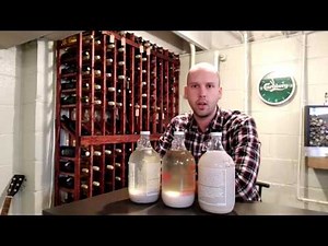 What is the Purpose of Pectic Enzyme?