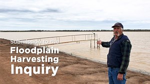 Paul Cameron from Trangie Station says floodplain harvesting on the large farm next door has stopped water flowing through his property and onward. Listen to his story. he NSW Parliament is currently conducting an inquiry into floodplain harvesting, and this is a video submission to that inquiry. Floodplain harvesting is the practice of building earthworks and dams to divert water flowing overland into private storage and away from natural waterways. This stops billions of litres of water reachi