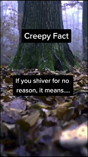 facts only for you ❤️ on TikTok