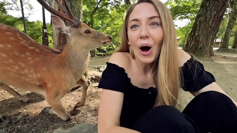 24 Hours in NARA Japan 🇯🇵 What to see, do & eat!