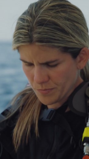 Massive Coral Reef Found: A Hidden Treasure in Belize