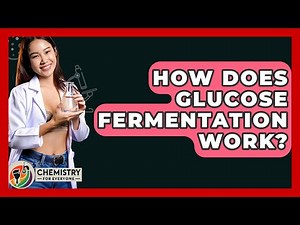 How Does Glucose Fermentation Work? - Chemistry For Everyone